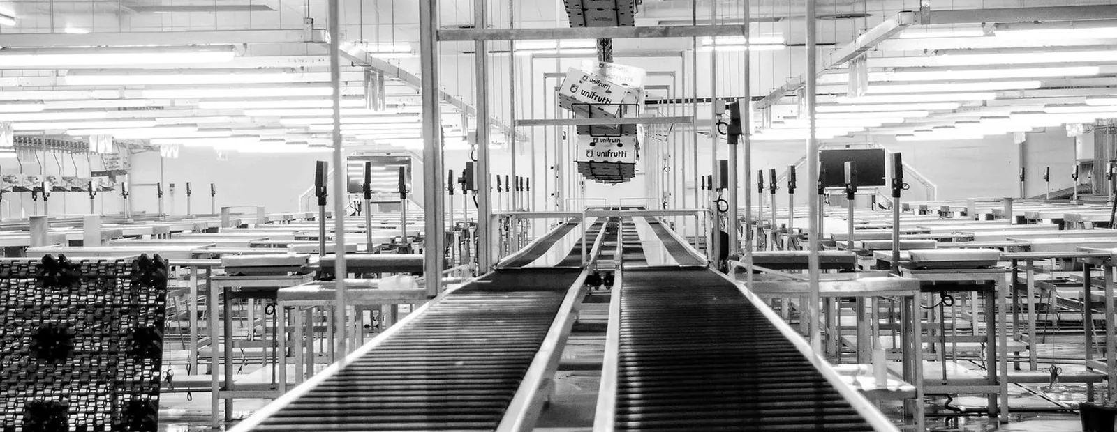 Roller conveyor line running through a production hall